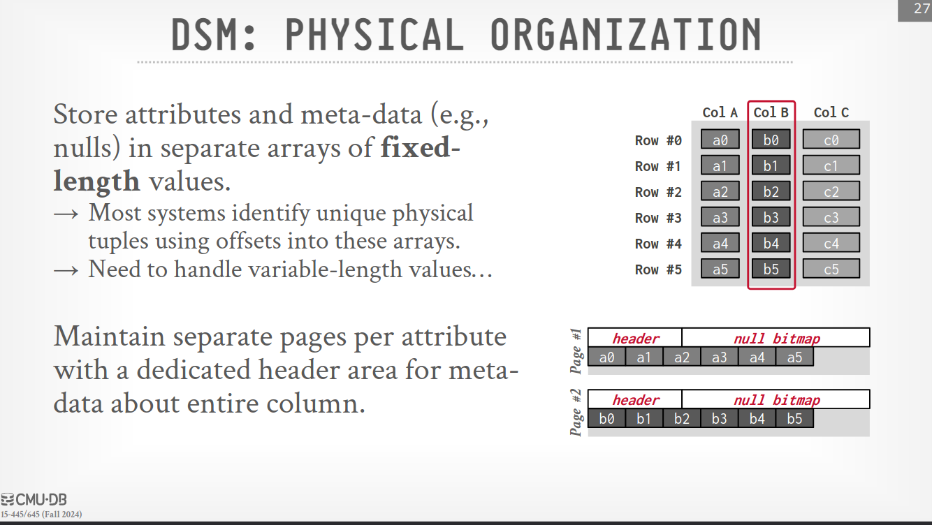 DSM: physical organization