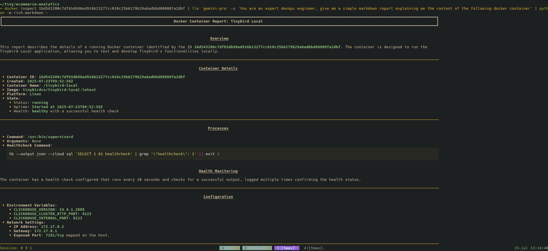 Tinybird local container inspection