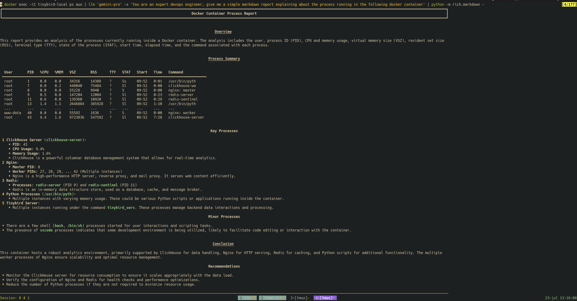 Tinybird local container processes