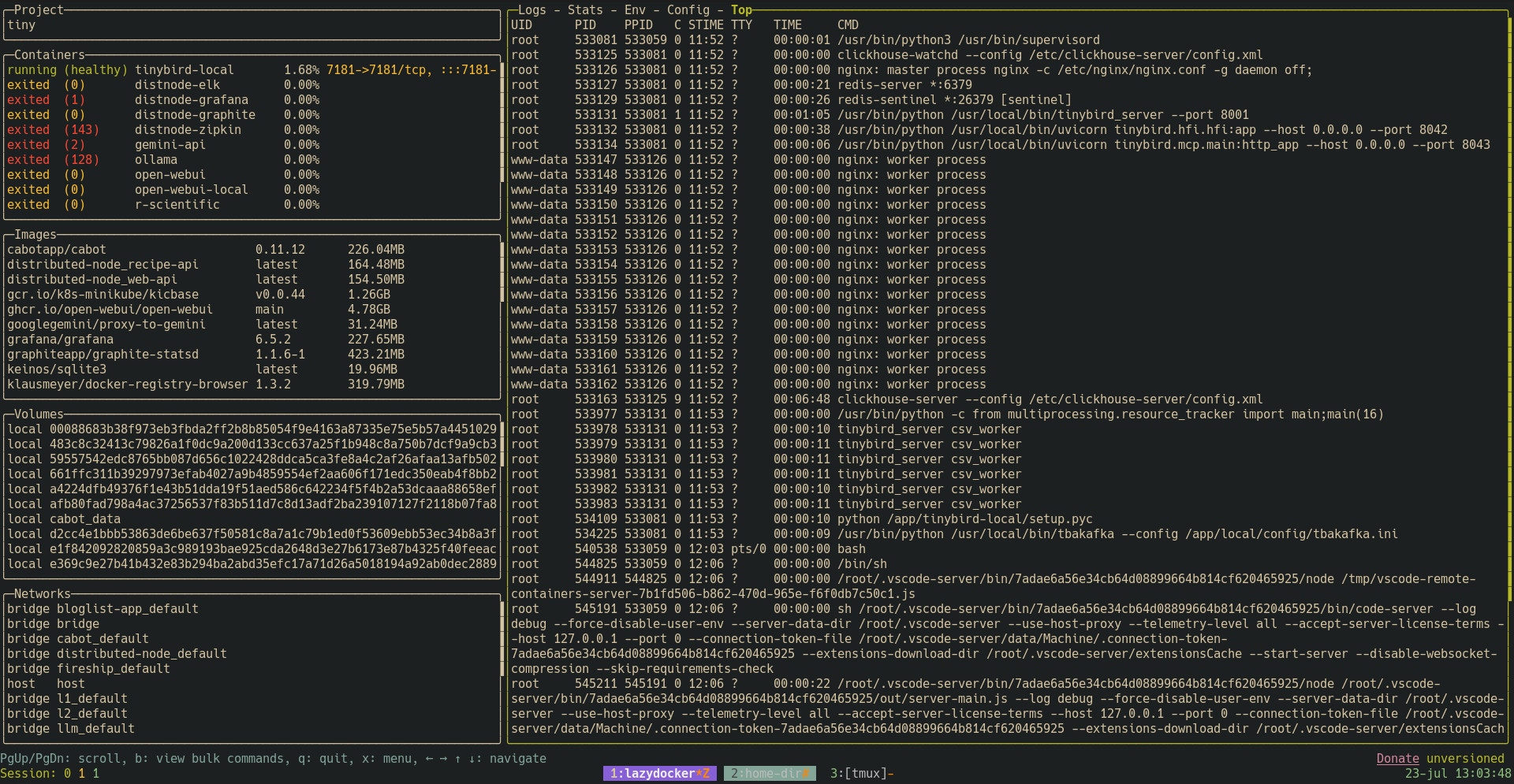 Tinybird local container